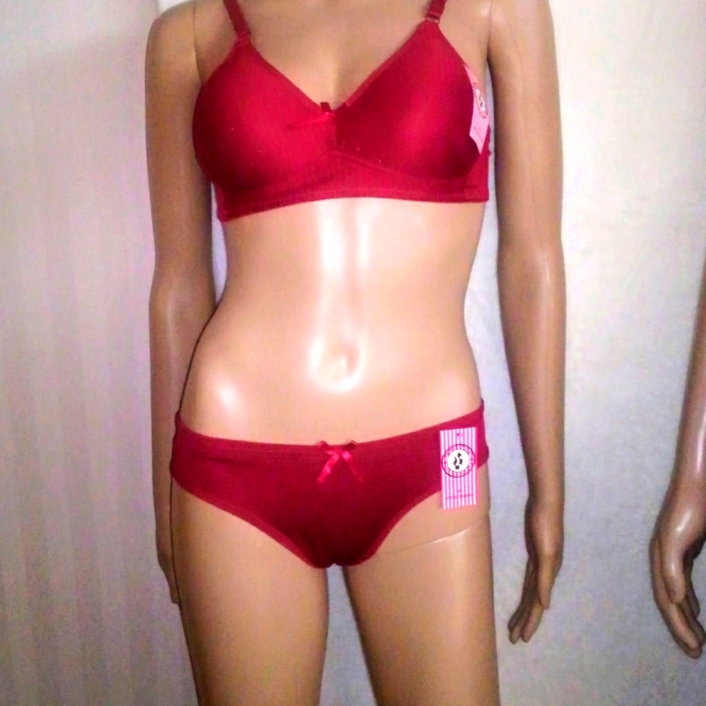 Paris Pink High Quality Bra & Panties Set